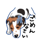 愛犬【陸】＆【りゅう】のスタンプ（個別スタンプ：10）