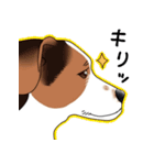 愛犬【陸】＆【りゅう】のスタンプ（個別スタンプ：11）