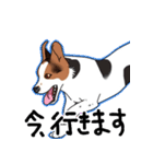 愛犬【陸】＆【りゅう】のスタンプ（個別スタンプ：12）