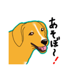 愛犬【陸】＆【りゅう】のスタンプ（個別スタンプ：15）