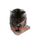 ウル100%（個別スタンプ：4）