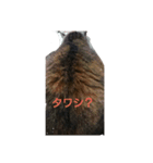 ウル100%（個別スタンプ：6）