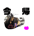ゆっちゃん(チワワ)の一言スタンプ（個別スタンプ：11）