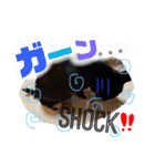 ゆっちゃん(チワワ)の一言スタンプ（個別スタンプ：12）