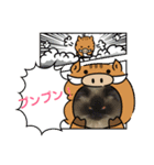 ♡ペルシャ猫のよしこちゃん♡（個別スタンプ：5）