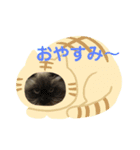 ♡ペルシャ猫のよしこちゃん♡（個別スタンプ：6）