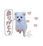 りおくんのひと言（個別スタンプ：7）