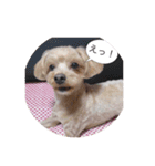 友蔵（個別スタンプ：9）