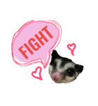ふくもも（ふぅた）、猫（りん）仕事編（個別スタンプ：1）