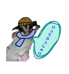 ふくもも（ふぅた）、猫（りん）仕事編（個別スタンプ：2）