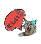 ふくもも（ふぅた）、猫（りん）仕事編（個別スタンプ：3）