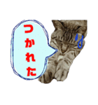 ふくもも（ふぅた）、猫（りん）仕事編（個別スタンプ：4）