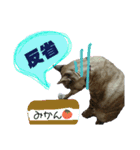 ふくもも（ふぅた）、猫（りん）仕事編（個別スタンプ：5）