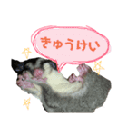 ふくもも（ふぅた）、猫（りん）仕事編（個別スタンプ：7）