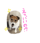 ちゃおのすたんぷ（個別スタンプ：3）