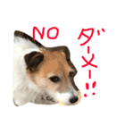 ちゃおのすたんぷ（個別スタンプ：7）
