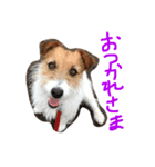 ちゃおのすたんぷ（個別スタンプ：8）