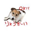 ちゃおのすたんぷ（個別スタンプ：10）