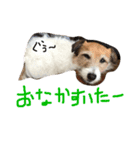 ちゃおのすたんぷ（個別スタンプ：12）