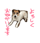 ちゃおのすたんぷ（個別スタンプ：14）