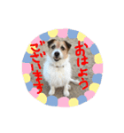 ちゃおのすたんぷ（個別スタンプ：15）