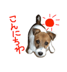 ちゃおのすたんぷ（個別スタンプ：16）