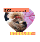 一姫二太郎2匹の愛犬STAMP パート2！！（個別スタンプ：9）