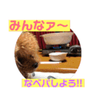 一姫二太郎2匹の愛犬STAMP パート2！！（個別スタンプ：11）
