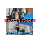 一姫二太郎2匹の愛犬STAMP パート2！！（個別スタンプ：18）