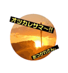 一姫二太郎2匹の愛犬STAMP パート2！！（個別スタンプ：25）