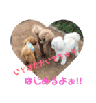 一姫二太郎2匹の愛犬STAMP パート2！！（個別スタンプ：32）