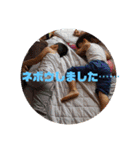 一姫二太郎2匹の愛犬STAMP パート2！！（個別スタンプ：35）