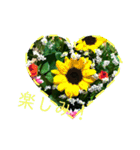 お花写真のスタンプ（個別スタンプ：8）