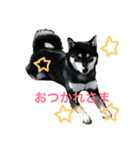 柴犬うめちゃん スタンプ（個別スタンプ：12）