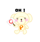 トイプーぽんちゃん（個別スタンプ：12）