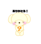 トイプーぽんちゃん（個別スタンプ：13）