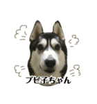 ハスキーのルイ と ぽんちゃん 第2弾（個別スタンプ：16）