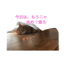 猫と今日も行く（個別スタンプ：2）