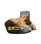 猫と今日も行く（個別スタンプ：4）