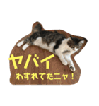 猫と今日も行く（個別スタンプ：16）