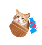 猫と今日も行く（個別スタンプ：30）