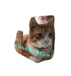 猫と今日も行く（個別スタンプ：39）