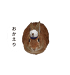 チョコっさんのスタンプ（個別スタンプ：4）