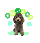 フィルすたんぷ（個別スタンプ：2）