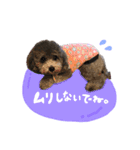 フィルすたんぷ（個別スタンプ：5）