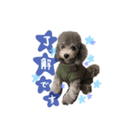 フィルすたんぷ（個別スタンプ：6）