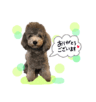 フィルすたんぷ（個別スタンプ：10）