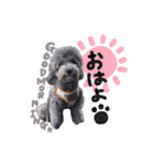 フィルすたんぷ（個別スタンプ：11）