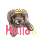 Tiara☆（個別スタンプ：7）