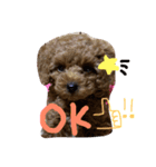 Tiara☆（個別スタンプ：11）